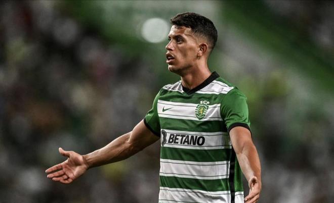 的报道不仅 的报道不仅