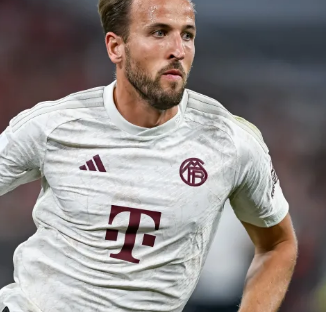 人的高光发 人的高光发